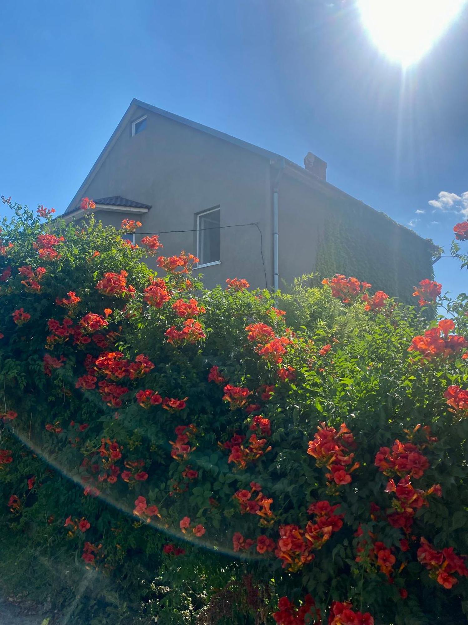 Guest House سانجييكا المظهر الخارجي الصورة